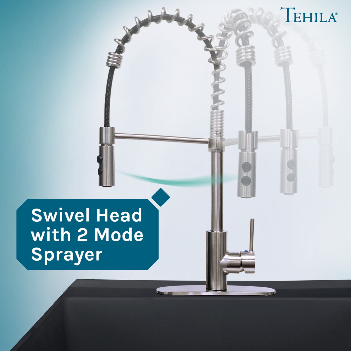 Tehila Stainless Steel Finish High Arc Coil Pull-Down Faucet